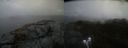 ./images/calvert/buxton2/20220218/buxton220220218_150503M.jpg