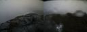 ./images/calvert/buxton2/20220218/buxton220220218_165002M.jpg
