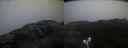 ./images/calvert/buxton2/20220219/buxton220220219_081503M.jpg