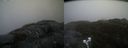 ./images/calvert/buxton2/20220219/buxton220220219_095502M.jpg