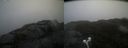 ./images/calvert/buxton2/20220219/buxton220220219_110503M.jpg