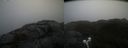 ./images/calvert/buxton2/20220219/buxton220220219_111503M.jpg
