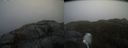 ./images/calvert/buxton2/20220219/buxton220220219_112503M.jpg