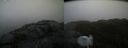 ./images/calvert/buxton2/20220219/buxton220220219_113502M.jpg