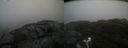 ./images/calvert/buxton2/20220219/buxton220220219_124002M.jpg