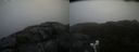 ./images/calvert/buxton2/20220219/buxton220220219_132503M.jpg