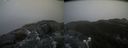 ./images/calvert/buxton2/20220219/buxton220220219_140503M.jpg