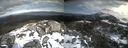 ./images/calvert/buxton2/20220225/buxton220220225_125502M.jpg