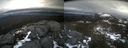 ./images/calvert/buxton2/20220226/buxton220220226_131002M.jpg