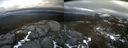 ./images/calvert/buxton2/20220226/buxton220220226_141002M.jpg