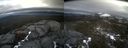 ./images/calvert/buxton2/20220226/buxton220220226_153502M.jpg