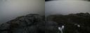./images/calvert/buxton2/20220227/buxton220220227_084002M.jpg