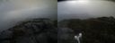 ./images/calvert/buxton2/20220228/buxton220220228_094003M.jpg