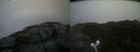 ./images/calvert/buxton2/20220228/buxton220220228_165503M.jpg