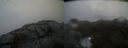 ./images/calvert/buxton2/20220302/buxton220220302_145003M.jpg