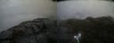 ./images/calvert/buxton2/20220302/buxton220220302_151502M.jpg