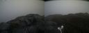 ./images/calvert/buxton2/20220303/buxton220220303_160503M.jpg