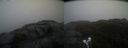 ./images/calvert/buxton2/20220303/buxton220220303_162503M.jpg