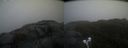 ./images/calvert/buxton2/20220303/buxton220220303_164002M.jpg
