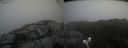 ./images/calvert/buxton2/20220304/buxton220220304_144002M.jpg