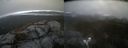 ./images/calvert/buxton2/20220312/buxton220220312_135502M.jpg