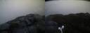 ./images/calvert/buxton2/20220315/buxton220220315_073502M.jpg
