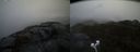 ./images/calvert/buxton2/20220315/buxton220220315_083503M.jpg