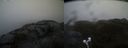 ./images/calvert/buxton2/20220315/buxton220220315_084003M.jpg