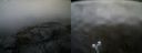 ./images/calvert/buxton2/20220318/buxton220220318_092003M.jpg