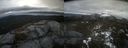 ./images/calvert/buxton2/20220321/buxton220220321_125003M.jpg