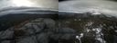 ./images/calvert/buxton2/20220321/buxton220220321_125503M.jpg