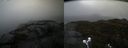 ./images/calvert/buxton2/20220322/buxton220220322_100503M.jpg