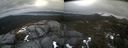 ./images/calvert/buxton2/20220325/buxton220220325_132002M.jpg