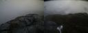 ./images/calvert/buxton2/20220326/buxton220220326_081002M.jpg