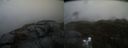 ./images/calvert/buxton2/20220326/buxton220220326_085502M.jpg