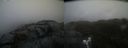 ./images/calvert/buxton2/20220326/buxton220220326_091002M.jpg