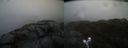 ./images/calvert/buxton2/20220326/buxton220220326_092502M.jpg