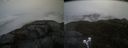 ./images/calvert/buxton2/20220327/buxton220220327_110503M.jpg
