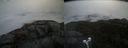 ./images/calvert/buxton2/20220327/buxton220220327_111003M.jpg