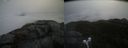 ./images/calvert/buxton2/20220327/buxton220220327_111502M.jpg