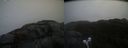 ./images/calvert/buxton2/20220327/buxton220220327_113502M.jpg