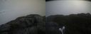 ./images/calvert/buxton2/20220327/buxton220220327_114002M.jpg