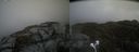 ./images/calvert/buxton2/20220327/buxton220220327_142502M.jpg