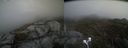./images/calvert/buxton2/20220327/buxton220220327_154503M.jpg