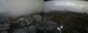 ./images/calvert/buxton2/20220327/buxton220220327_155003M.jpg