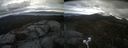 ./images/calvert/buxton2/20220329/buxton220220329_131003M.jpg