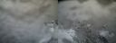 ./images/calvert/buxton2/20220330/buxton220220330_094503M.jpg