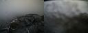 ./images/calvert/buxton2/20220401/buxton220220401_082503M.jpg