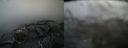 ./images/calvert/buxton2/20220401/buxton220220401_084503M.jpg