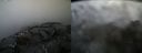 ./images/calvert/buxton2/20220401/buxton220220401_092502M.jpg